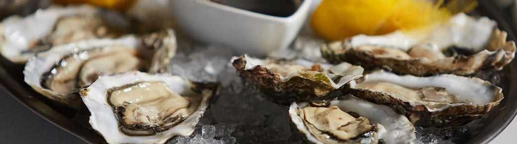 a range of fresh oysters